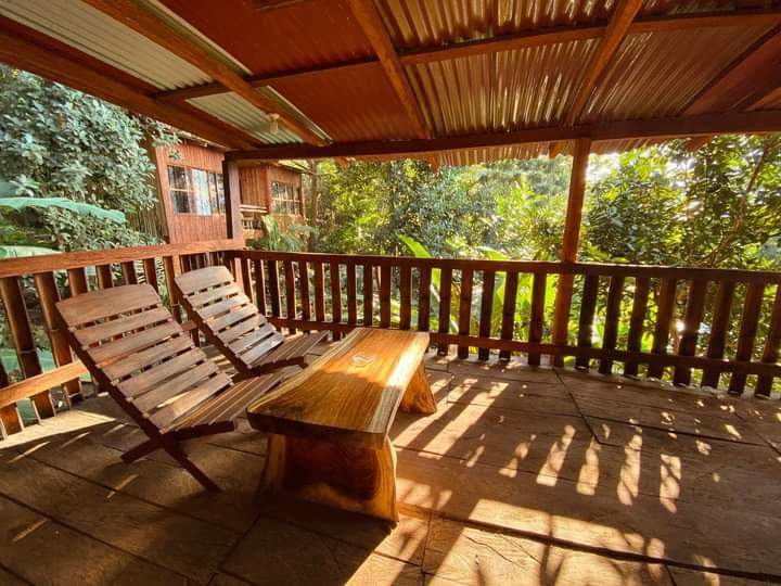 Terraza de madera con sillas