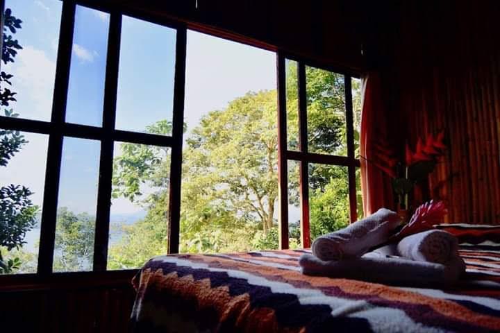 Vista desde la cama hacia la selva y laguna