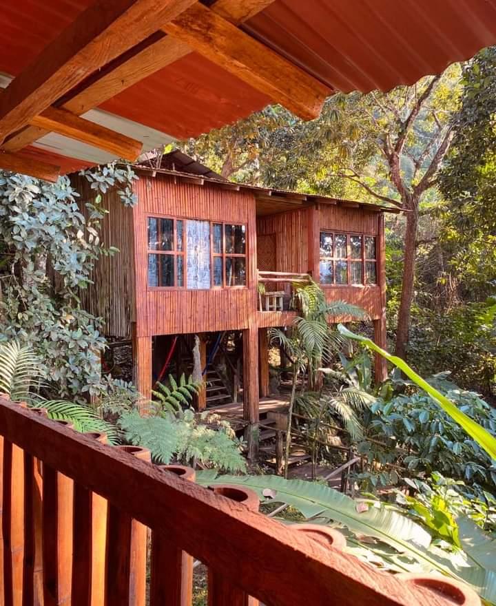 Cabaña entre la vegetación tropical