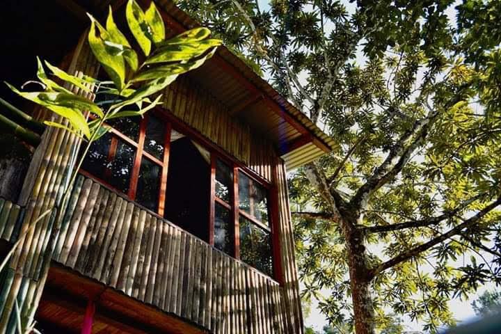 Cabaña de bambú entre la naturaleza